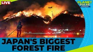 LIVE | Ofunato: How Japan's Largest Wildfire Forced Thousands to Evacuate | Planet Pulse | N18G