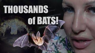 Remote Bat Temple Ride in Thailand