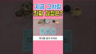 지금 그사람 진짜 감정은 #타로연애운 #타로상담 #재회운 #연락운 #타로썸 #썸 #속마음타로 #고백운