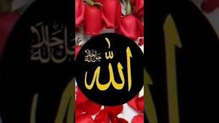 Islamic status 2  ll status # short # shorts #  viral short # rdp islamic status #rdp islamic short