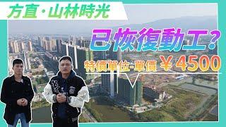 肇慶市~方直山林時光位置鼎湖山五A風景，現正常復工，推出工抵房正常網簽，110㎡至124㎡~3房至4房~單價4500至4800