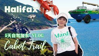 HALIFAX VLOG|哈利法克斯布雷顿角岛环游记|海洋省打卡网红餐厅龙虾雪蟹吃到撑|泰坦尼克号展览|上山下海水陆两栖BUS TOUR