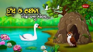 ହଂସ ଓ ପେଚା ମିଛ ବନ୍ଧୁ ଥିଲେ _ Hansa O Pecha Michha Bandhu Thile / Odia moral story/Odia Gapa/ story