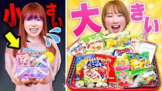 キミはどっち？駄菓子屋さんで小さいカゴ vs 大きいカゴで買い放題チャレンジ！かごに入るだけお菓子爆買い【大量購入品紹介】