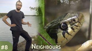 #08 - Neighbours | My Northern Story