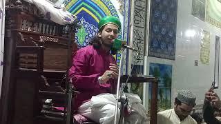 Muhammad Aqib Ali Naqshbandi official 1