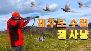 제주도에서 수렵 엽총으로 사냥개와 꿩사냥하러가는 리뷰-크크바나나TV