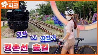 춘천가던 기차 vs 경춘선 숲길로 달리는 자전거 | 한강 왕숙천 중랑천 라이딩 | 태릉 화랑대역