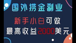 最高收益2000美金！这个海外副业赚美元项目不能错过