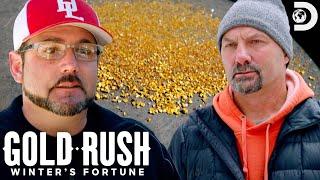 Dave Finds Hidden Gold Claim Worth Millions | Gold Rush: Winter's Fortune