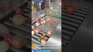 Fruits And Vegetable Grading Sorting Machine