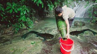 The orphan boy set up a fish cage and caught catfish to sell.