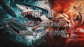 Top 10 Deadliest Animals That Kill Humans Every Year! 