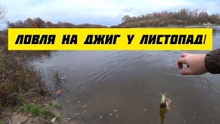 ЛОВЛЯ НА ДЖИГ У ЛИСТОПАДІ. Десна