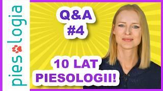 Q&A z okazji 10 lat Piesologii 