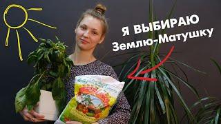 Почвогрунт "Земля-Матушка". Раскрыты все секреты