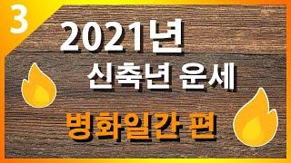 2021년 신축년 운세. 세번째 병화일간 편!