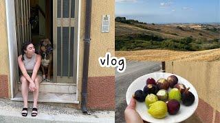 vlog in Italian: la mia vacanza in Abruzzo (parte 1) (sub)