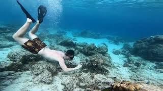 Turtle Point // Gili Trawangan // Indonesia// 2018