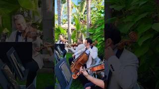 A Thousand Years (Christina Perri) - Enchanted Strings - Los Angeles String Quartet #wedding #violin