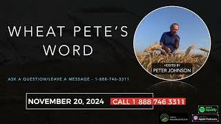 Wheat Pete's Word, Nov 20: Hat waving, choosing corn hybrids, crop prices, and fall weed control