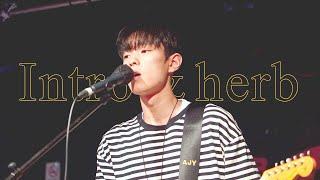 [4K] 230615 밴드 무드 Mood - Intro + herb (안진영 focus) @THIRSTY THURSDAY