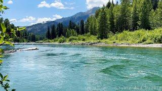 River Whirlpools And Birdsong | 10 Hr | Sounds For Sleep Study Focus And Relaxation