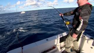 Fishing Edge - Insane southern blue fin action off Tathra NSW