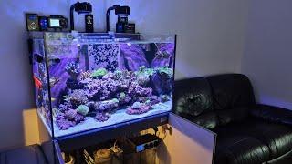 Competition WINNER!!! LAD Pro Reef Frag Rack.