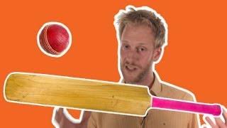 Science Guide to Cricket | Sci Guide (Ep 34) | Head Squeeze