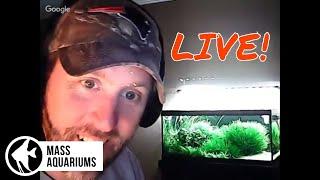 Rico's Reef Tanks Live: Plants & Coral Reefs