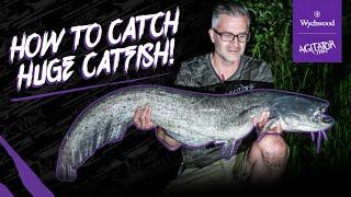 How to catch big Catfish in the UK / Albans Lakes / Agitator Catfish Rods / Wels Catfish