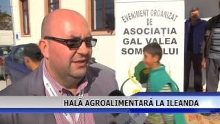 HALA AGROALIMENTARA LA ILEANDA