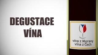 Degustace vína