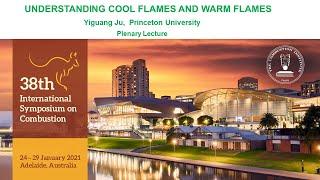 Understanding Cool flames and Warm flames, Speaker: Yiguang Ju