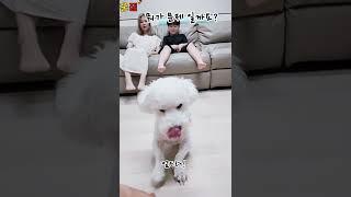 [권우TV]뭐가 문제일까요? #shorts