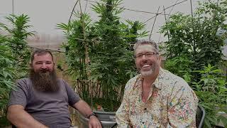 The Story of the Afghan Little F*ck (ALF #5) Autoflower with Dan Jimmie of Gnome Automatics