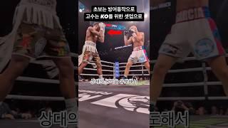 복싱고수들의 하이가드로 셋업하기 #스포츠 #boxing #ufc