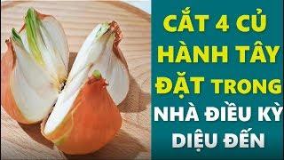 Đặt củ hành tây cắt tư trong nhà bạn sẽ ngạc nhiên khi thấy điều kỳ diệu xảy ra vào sáng hôm sau