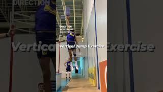 QUICK SWITCH Vertical Jump Exercise - Volleyball Performance Training
