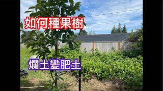 如何開墾農地#堆肥種菜#建菜園