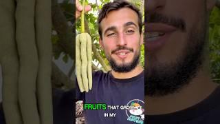 Top 5 Fruits in my backyard! ‍ #farming