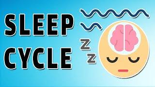 Physiology of Sleep
