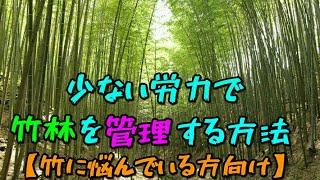 竹林管理ってそんなにむずかしくないんです！竹の生育を利用して省力的に竹林を管理しちゃおう。ただし、収穫はしない方がいいですよ～