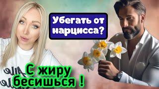 Убегать от нарцисса? \GBQ blog