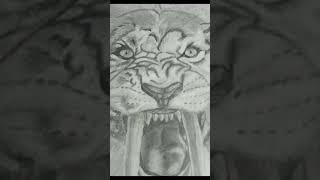 Tiger sketch Transfer ment video.  Tiger Drawing. #art#devartstudio