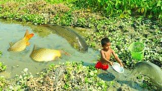 Little Boy Fishing By Traditional Fishing System. Amazing Fishing Video. Fishing Boss