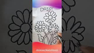  "Daisy Drawing Tutorial  #daisydrawing #daisy