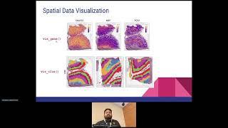 Package demo: Analyzing Spatially-Resolved Transcriptomics Data from Visium using spatialLIBD