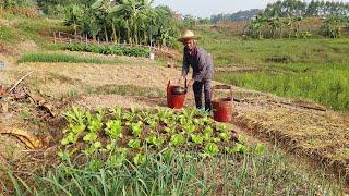 How My Grandma Grow Vegetables | Chinese Vegetable Gardens | Rural China